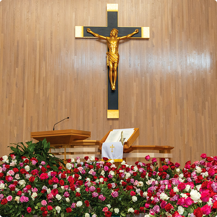 Rose of Remembrance